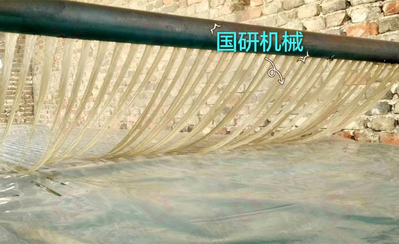 粉条1.jpg